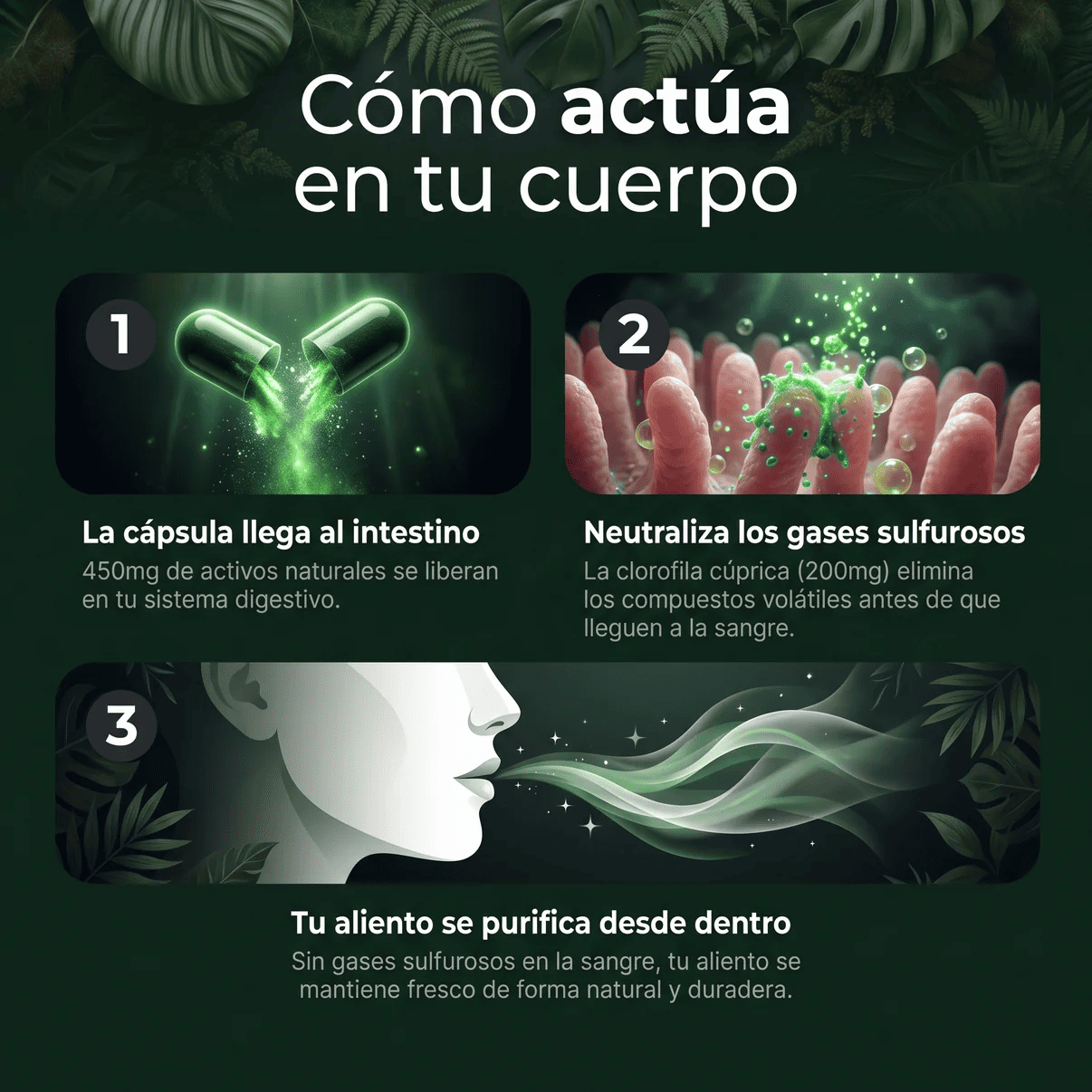 FresOdor+ — Elimina el mal aliento desde el intestino, no desde tu boca
