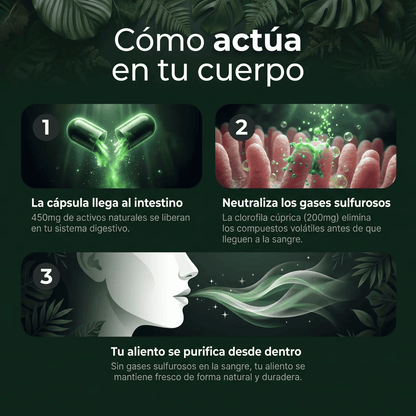 FresOdor+ — Elimina el mal aliento desde el intestino, no desde tu boca
